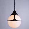 Уличный подвесной светильник Arte Lamp Monaco (Монацо) A1495SO-1BK
