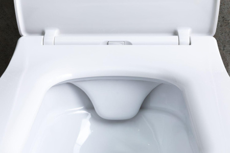 Чаша унитаза подвесная Allen Brau Liberty 4.33007.20 цвет белый без сиденья безободковая каскадный смыв