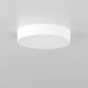 Светильник накладной Citilux Тао CL712180N