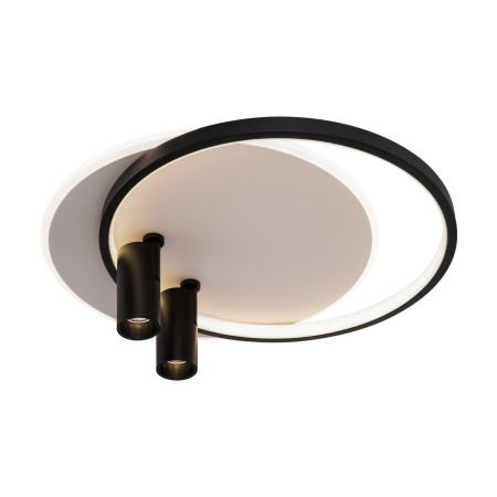 Светильник потолочный Freya Spotlights (Прожекторы) FR6083CL-L106WB