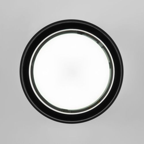 Уличный потолочный светильник Elektrostandard Light (Лигхт) 4690389180835 - фото 3