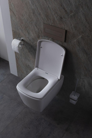 Чаша унитаза подвесная Allen Brau Liberty 4.33004.20 цвет белый без сиденья безободковая каскадный смыв