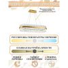Люстра подвесная Natali Kovaltseva LED Нимбы LED LAMPS 81252
