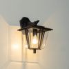 Уличный настенный светильник Citilux Forts (Фортс) CLU10W
