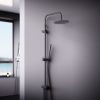 Душевая стойка Damixa Scandinavian Pure 936000300 настенная цвет черный
