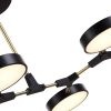 Светильник потолочный Evoluce Monta (Монта) SLE6004-402-06