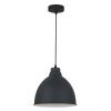 Светильник подвесной Arte Lamp Braccio (Браццио) A2055SP-1BK