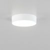 Светильник накладной Citilux Тао CL712120N