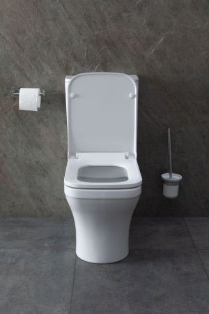 Чаша унитаза напольная Allen Brau Infinity 4.21012.20 цвет белый без бачка с сиденьем микролифт безободковая каскадный смыв