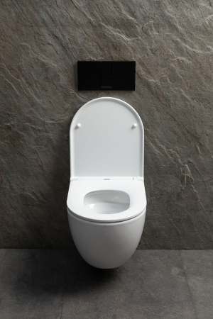 Чаша унитаза подвесная Allen Brau Priority Tornado 4.31009.20 цвет белый без сиденья безободковая душевой смыв