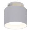 Светильник накладной Reluce 53006-9.5-001IL GX53+LED3W WT