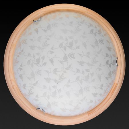 Светильник накладной Toplight Beatrice (Беатрице) TL9280Y-00PN