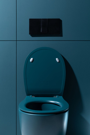 Чаша унитаза подвесная Allen Brau Fantasy 4.11004.PT цвет зеленый без сиденья безободковая каскадный смыв