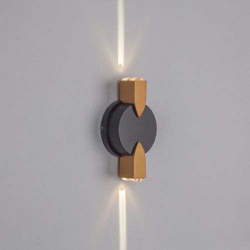 Уличный настенный светильник Lightstar Dito (Дито) 380623 - фото 3