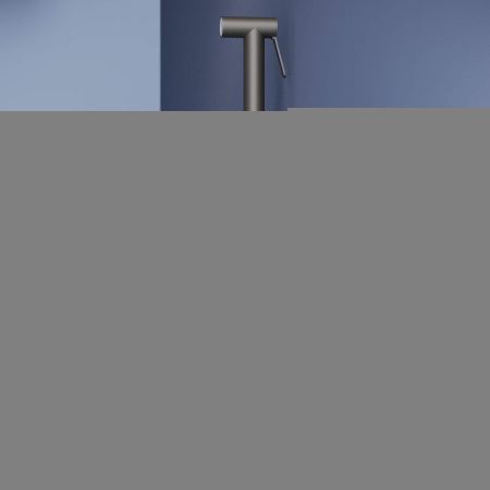 Гигиенический душ со смесителем RGW Shower Panels 511408206-04 черный