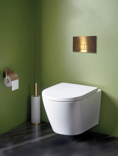 Клавиша смыва механическая AltroBagno Beni aggiuntivi AltroBagnoPFP002IQ цвет бронза - фото 2