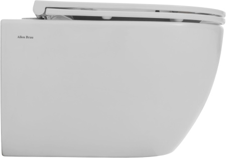 Чаша унитаза подвесная Allen Brau Priority Tornado 4.31008.20 цвет белый без сиденья безободковая душевой смыв