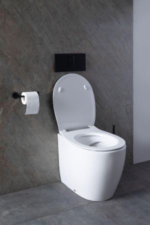 Унитаз приставной Allen Brau Fantasy 4.11007.20 белый с сиденьем микролифт безободковый каскадный смыв