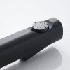 Гигиенический душ со смесителем Rose R1805H-1 черный