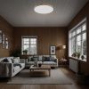 Светильник потолочный Citilux Бейсик CL738242V