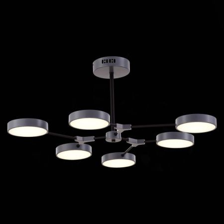Светильник потолочный Evoluce Monta (Монта) SLE6003-702-06