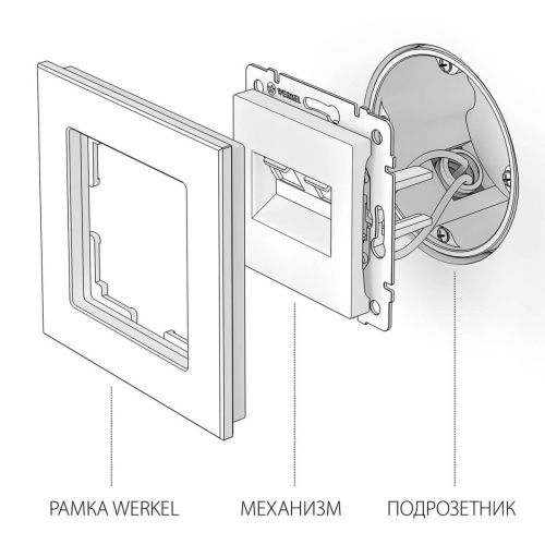 Розетка двойная Ethernet RJ-45 Werkel Слоновая кость 4690389155864 - фото 5