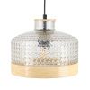Светильник подвесной Myfar Edwin (Едвин) MR2480-1P