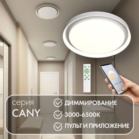 Светильник потолочный Denkirs Cany (Цаны) DK6516-WH