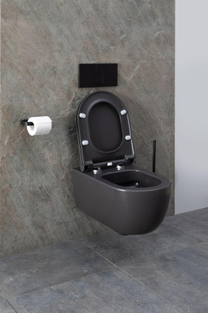 Чаша унитаза подвесная Allen Brau Priority 4.31001.AN цвет черный без сиденья безободковая каскадный смыв