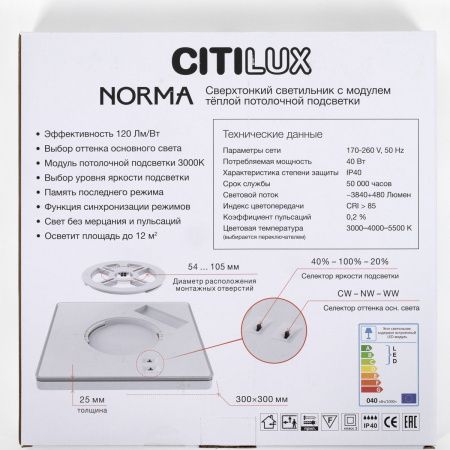 Светильник потолочный Citilux Norma (Норма) CL748K301