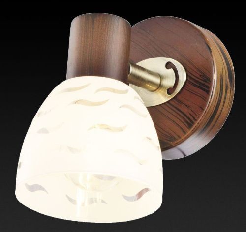Спот Toplight Shayla (Схаыла) TL3730Y-01BB - фото 2