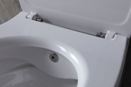 Чаша унитаза подвесная Allen Brau Fantasy 4.11HC1.20 цвет белый без сиденья безободковая каскадный смыв