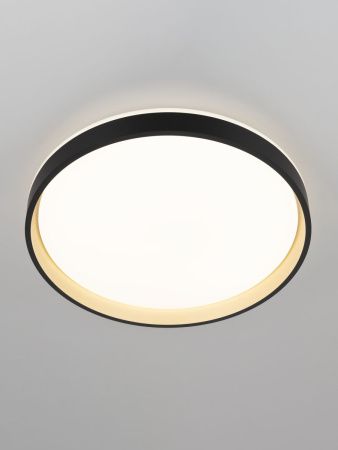 Светильник потолочный музыкальный Citilux Enzo (Ензо) CL753451G