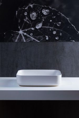 Раковина керамическая Allen Brau Fantasy 4.11021.20 50х40 накладная цвет белый без отверстий под смеситель