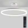 Люстра потолочная Natali Kovaltseva Finam (Финам) LED LAMPS 81121/1C