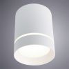 Светильник накладной Arte Lamp Elle (Елле) A1949PL-1WH