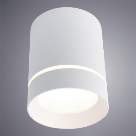 Светильник накладной Arte Lamp Elle (Елле) A1949PL-1WH