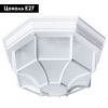 Уличный потолочный светильник Arte Lamp Pegasus (Пегасус) A3100PL-1WH