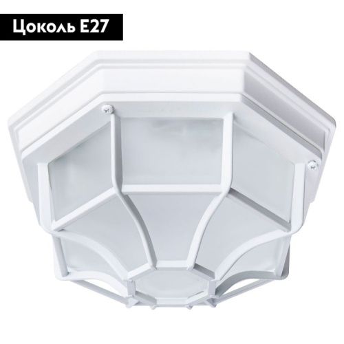 Уличный потолочный светильник Arte Lamp Pegasus (Пегасус) A3100PL-1WH - фото 2