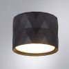 Светильник накладной Arte Lamp Fang (Фанг) A5552PL-1BK