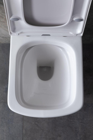 Чаша унитаза подвесная Allen Brau Liberty 4.33004.20 цвет белый без сиденья безободковая каскадный смыв