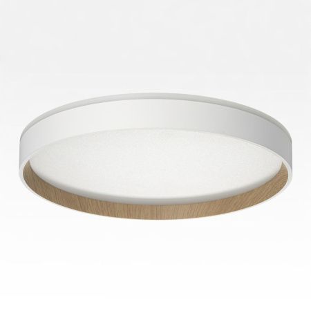 Светильник накладной Citilux Etalon (Еталон) CL750320R
