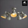 Люстра потолочная Arte Lamp Martin (Мартин) A5216PL-5WG