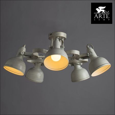 Люстра потолочная Arte Lamp Martin (Мартин) A5216PL-5WG