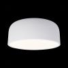Светильник потолочный Loft It Axel 10201/350 White