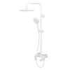 Душевая стойка Wasserkraft Mindel BK18501WM настенная цвет белый