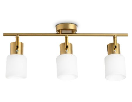 Спот Ambrella Light Traditional (Традитионал) TR3972