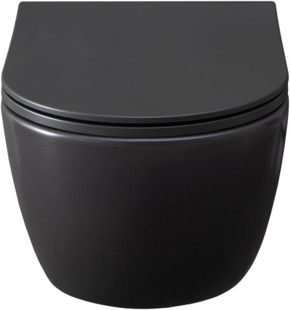 Чаша унитаза подвесная Allen Brau Priority 4.31001.AN цвет черный без сиденья безободковая каскадный смыв