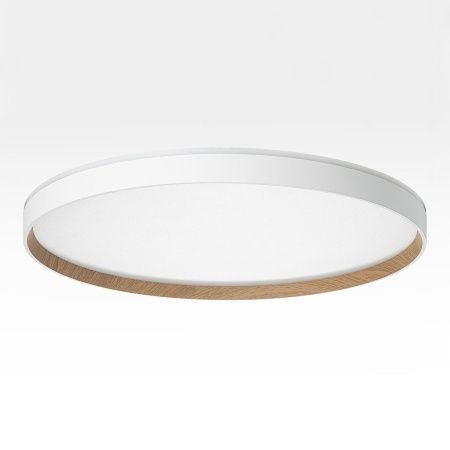 Светильник накладной Citilux Etalon (Еталон) CL750500R