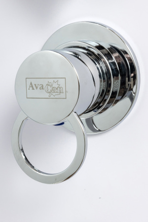 Душевой бокс AvaCan EM4517GM 170х90 прямоугольная с крышей ориентация универсальная